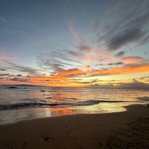 Meet your Posher, Trisha